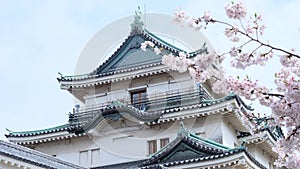 Cherry blossom at Wakayama Castle photo